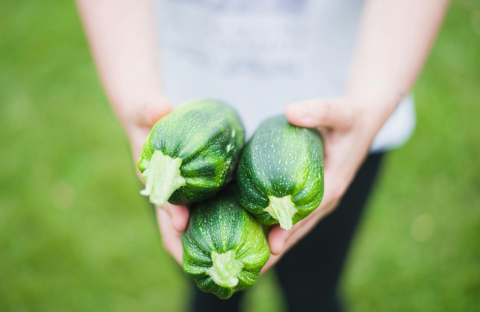 Keto zucchini recipes