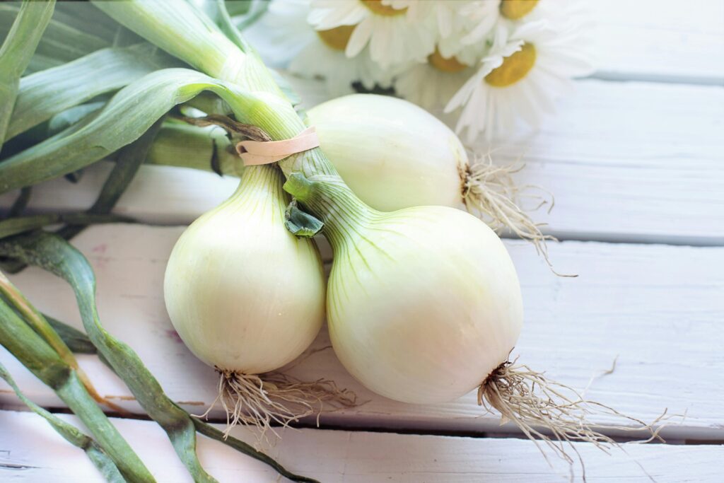 Are onions keto friendly?